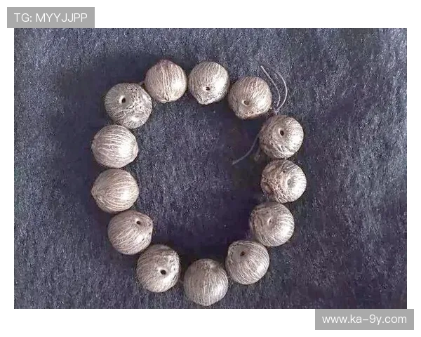 足球运动裤训练效果提升技巧与选购指南全面解析